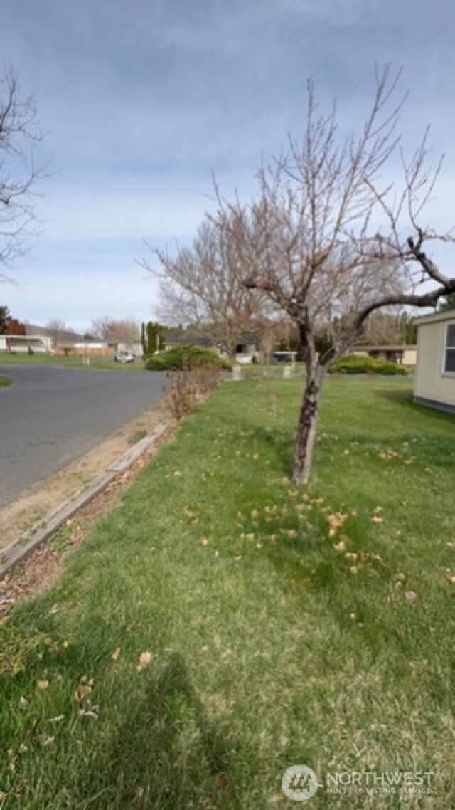 2285 Basin Street - Photo 1