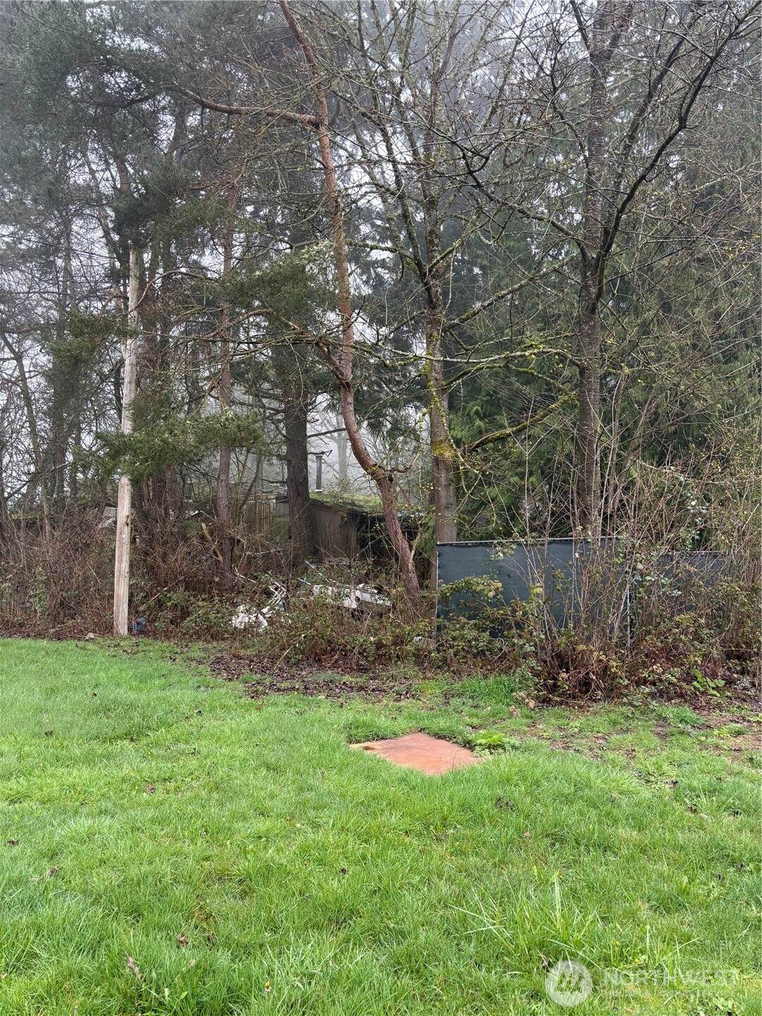 3312 13th St Sw - Photo 1