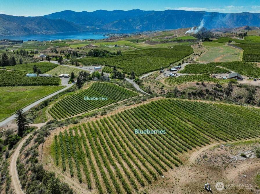 173 Chelan Ranch Road - Photo 1