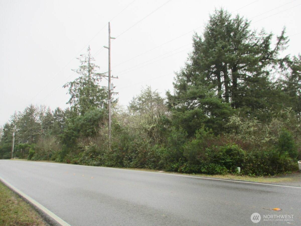 553 Dolphin Avenue - Photo 1