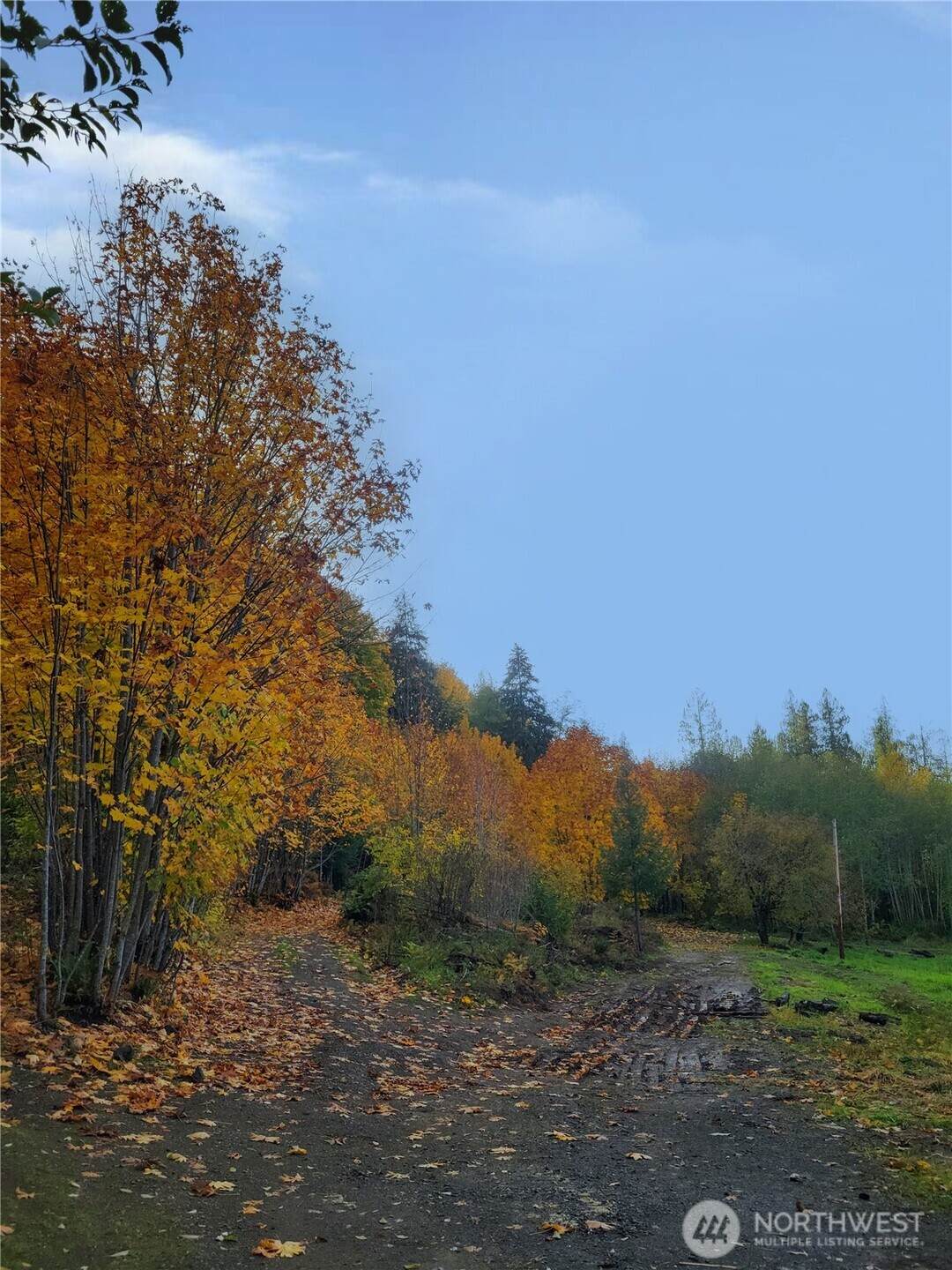 https://bt-photos.global.ssl.fastly.net/nwmls/orig_boomver_1_2502671-1.jpg