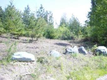 6315 Whiteman Road - Photo 1