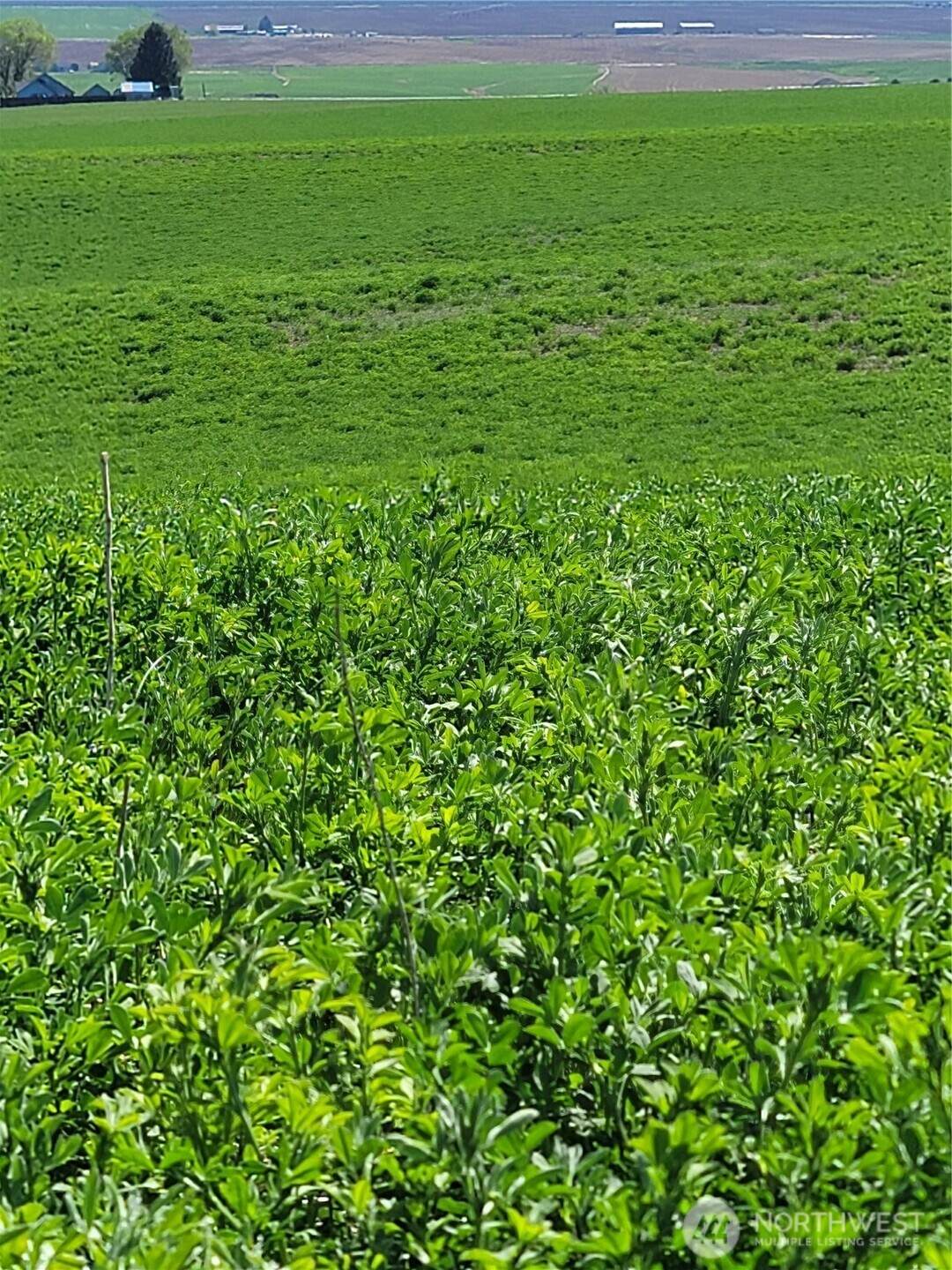 https://bt-photos.global.ssl.fastly.net/nwmls/1280_boomver_1_2503172-1.jpg