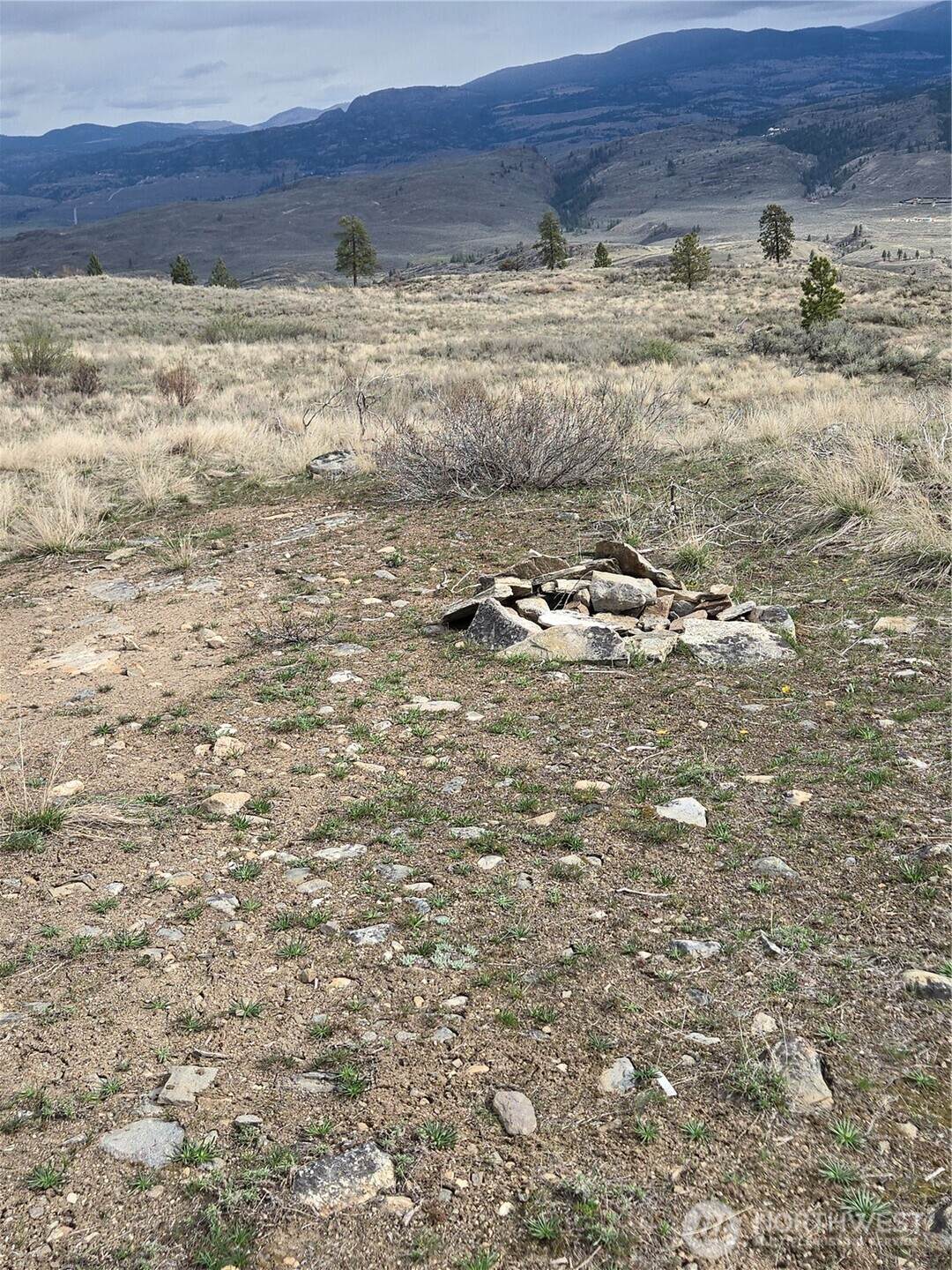 0 Tbd Twin Springs Road - Photo 1