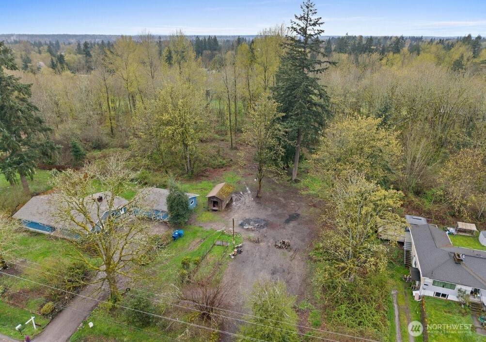 12843 175th Avenue - Photo 1