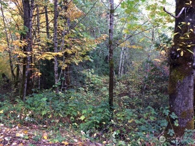 25116 146th Street - Photo 1