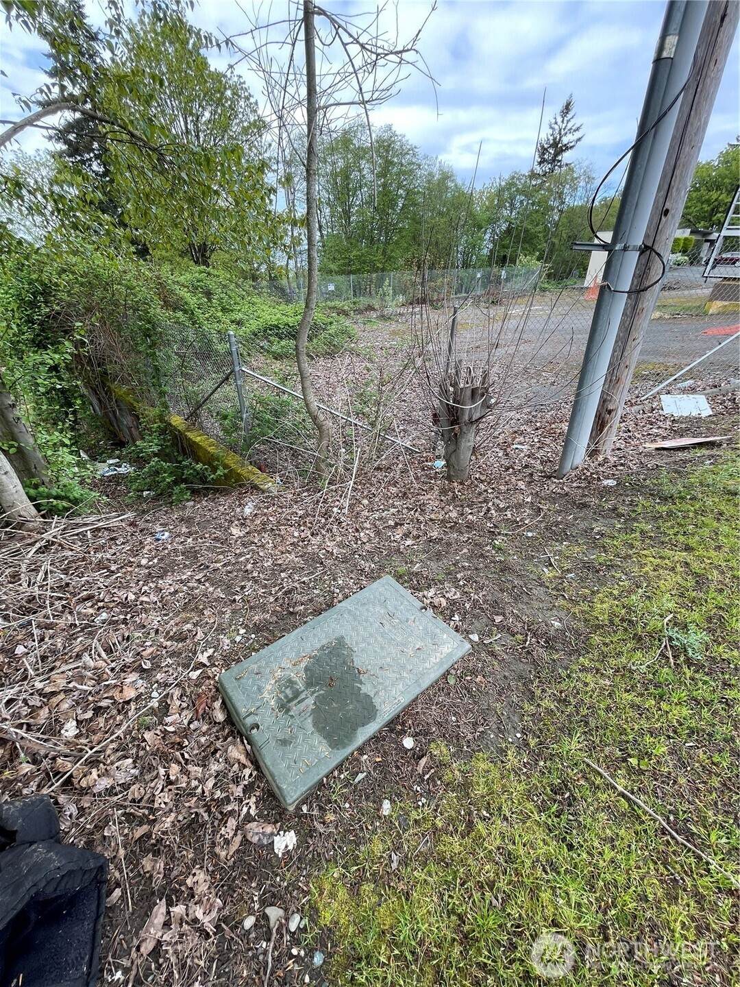 29223 Pacific Highway - Photo 1