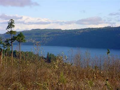0-XXXX Hwy 101 Hwy - Photo 1