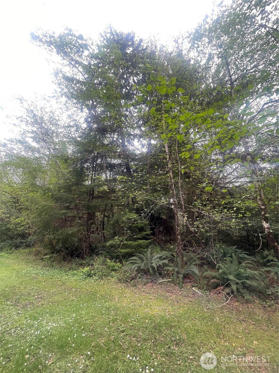 0 Lot 42 Bay Lane - Photo 1