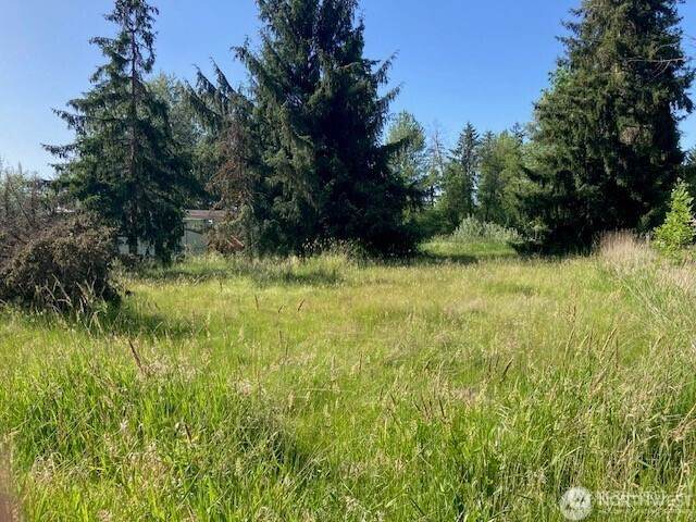 2912 Scotlac Drive - Photo 1
