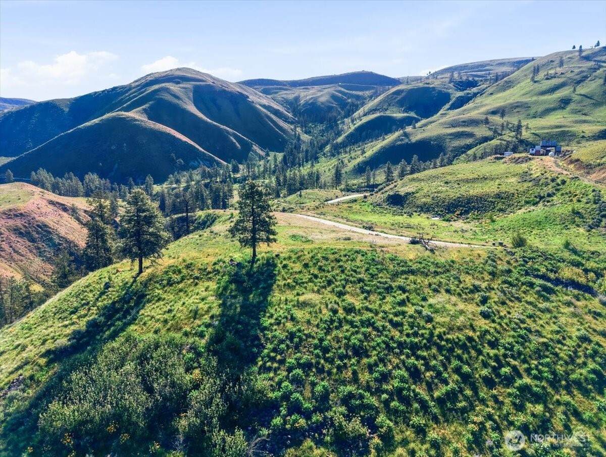 25 Chelan Hills Acres Road - Photo 1