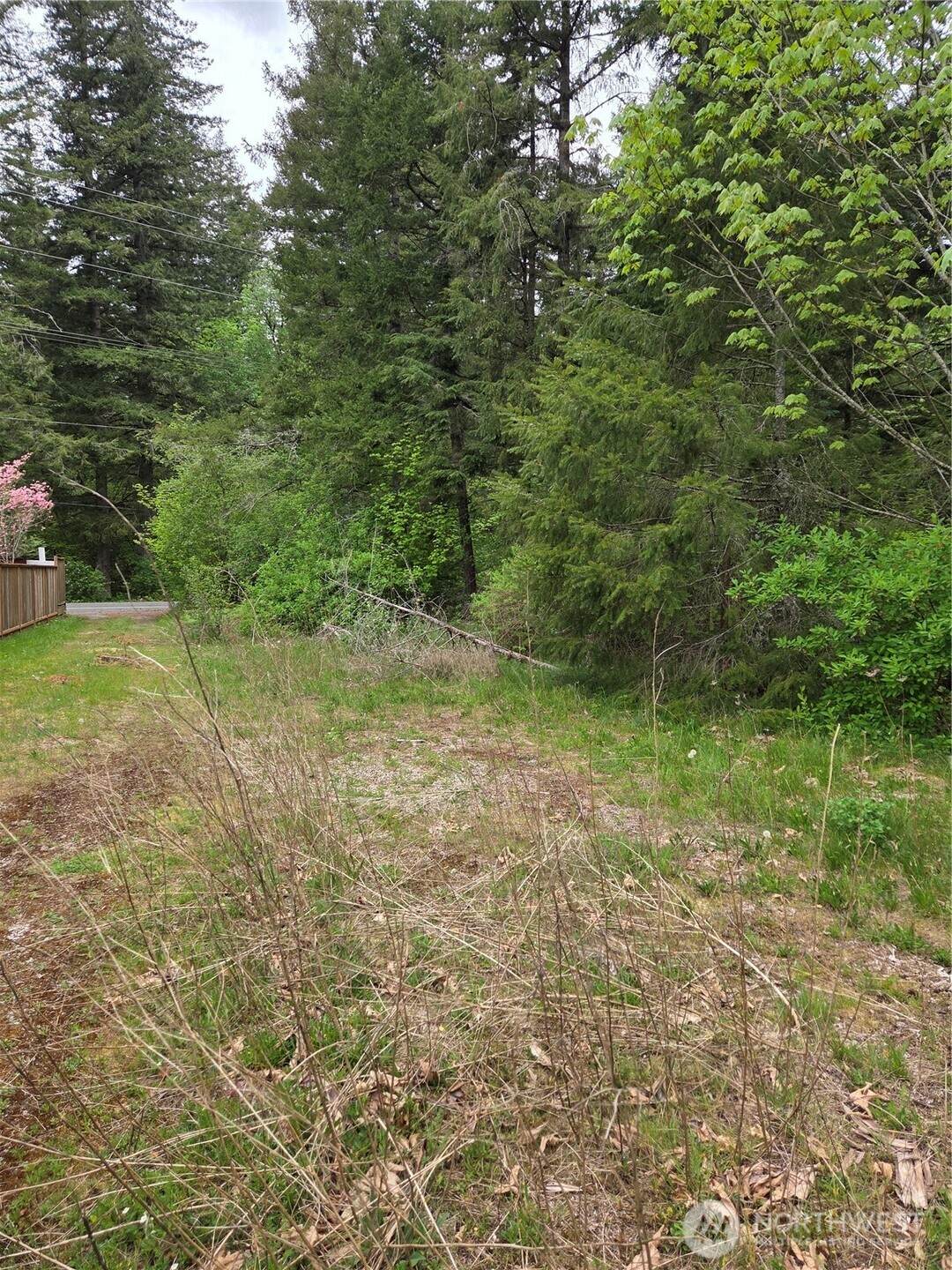 0 Wa-547 Road - Photo 1