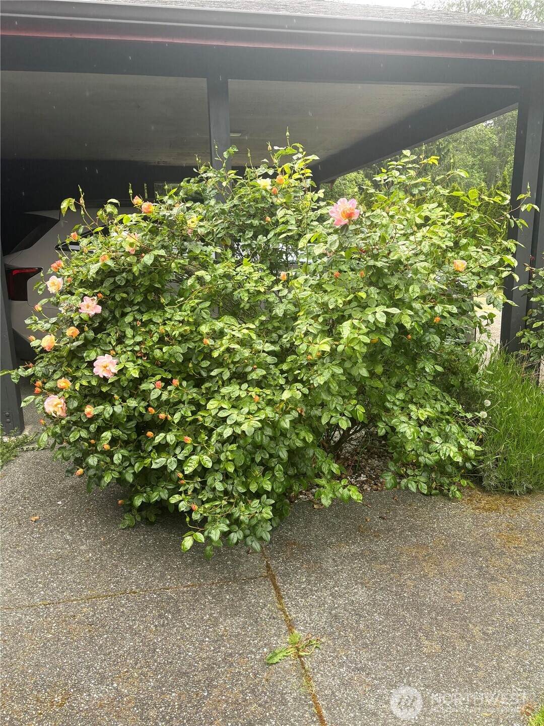 https://bt-photos.global.ssl.fastly.net/nwmls/orig_boomver_1_2524324-1.jpg