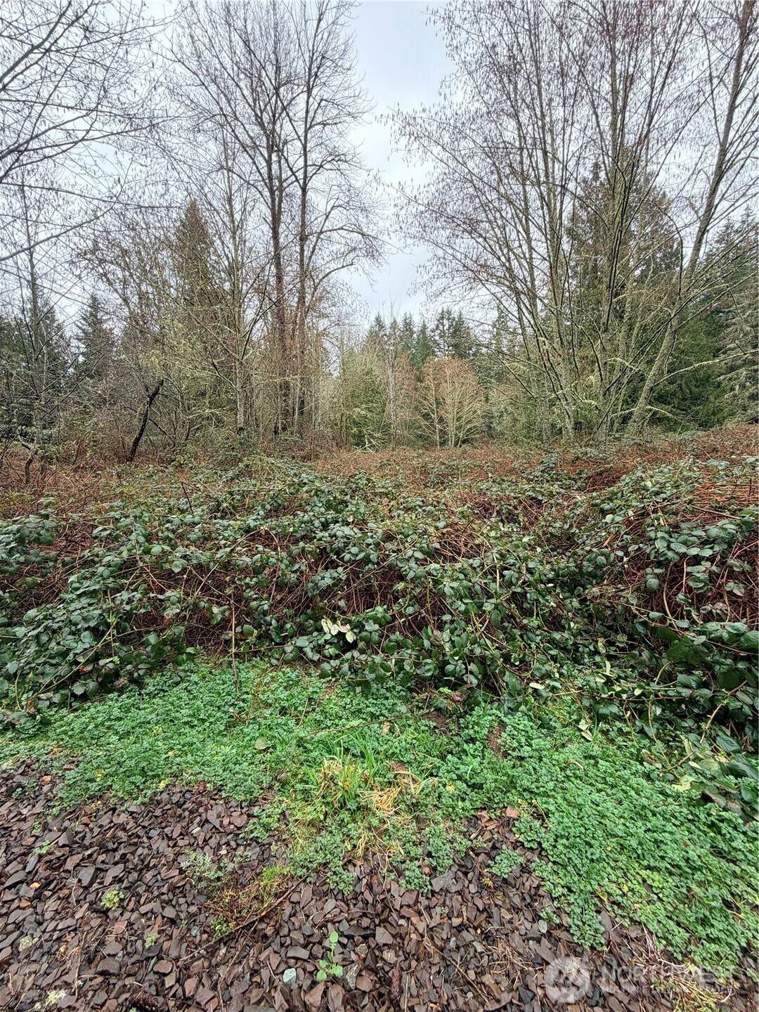 https://bt-photos.global.ssl.fastly.net/nwmls/orig_boomver_1_2526209-1.jpg