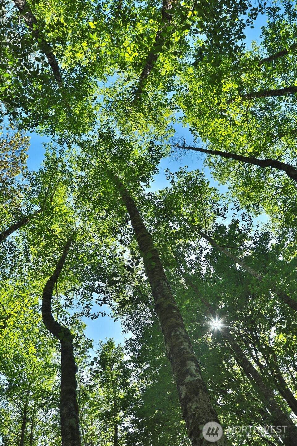 https://bt-photos.global.ssl.fastly.net/nwmls/1280_boomver_1_2530148-1.jpg