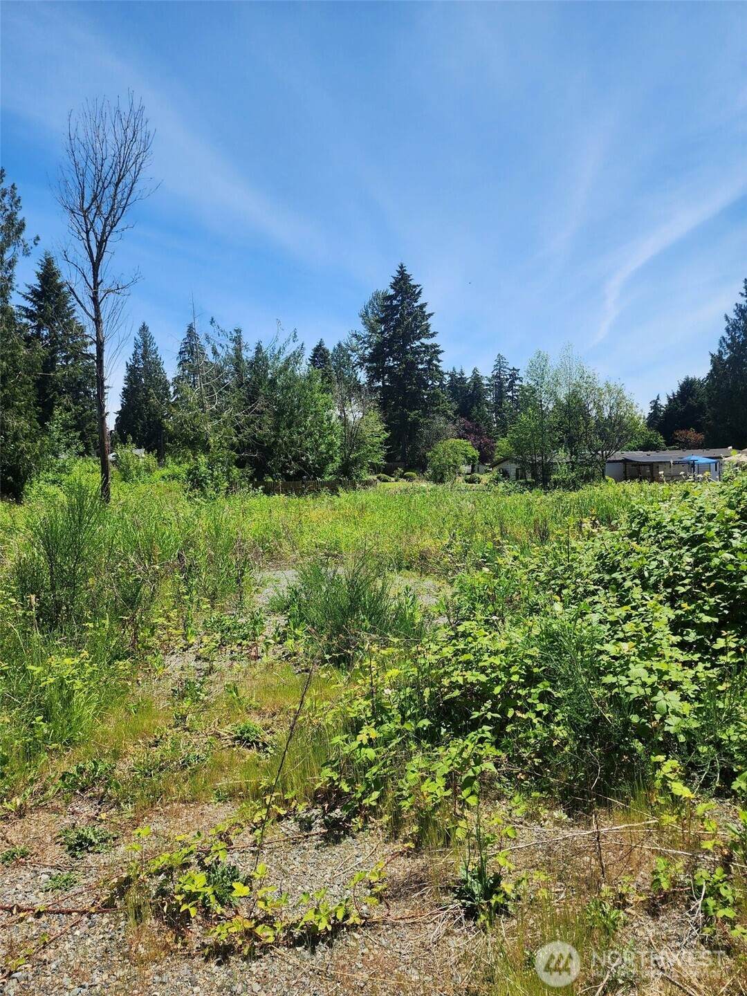 376 XX 47th Avenue - Photo 1