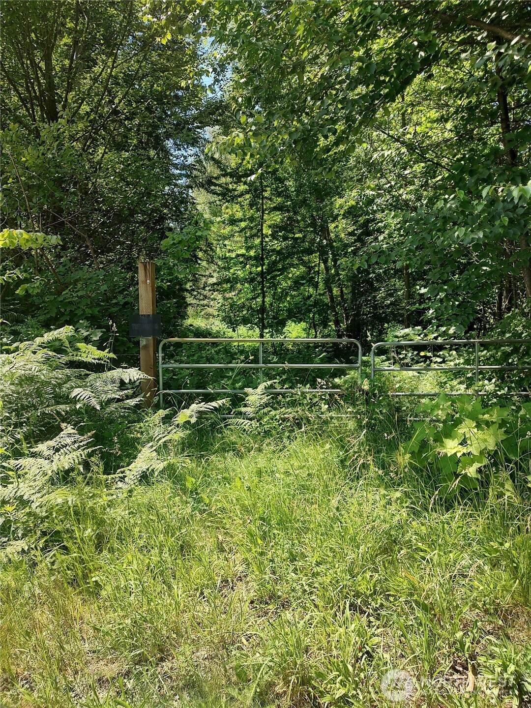 0 Custer School Road - Photo 1