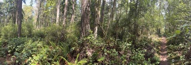 0 Fowler Park - Photo 1
