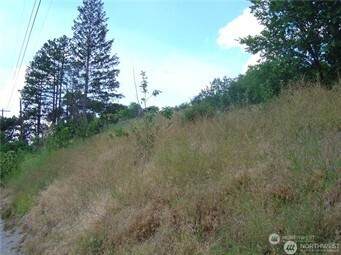 0 NNA Riverview Cemetery Road - Photo 1