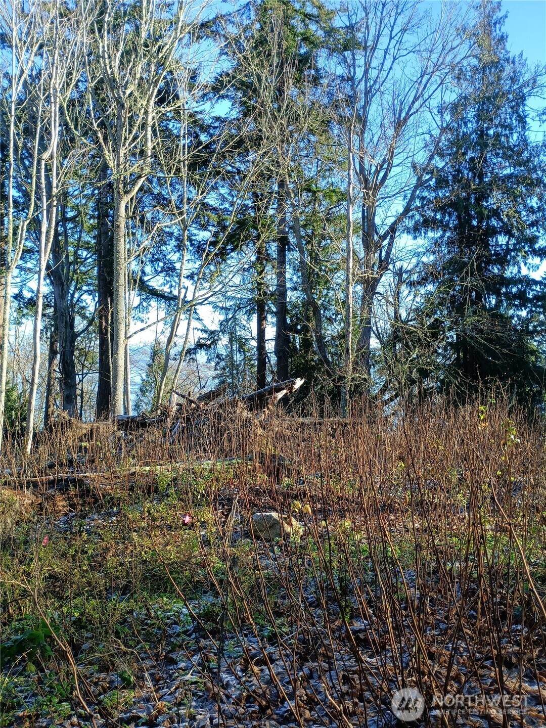 49 K Tulalip Way - Photo 1