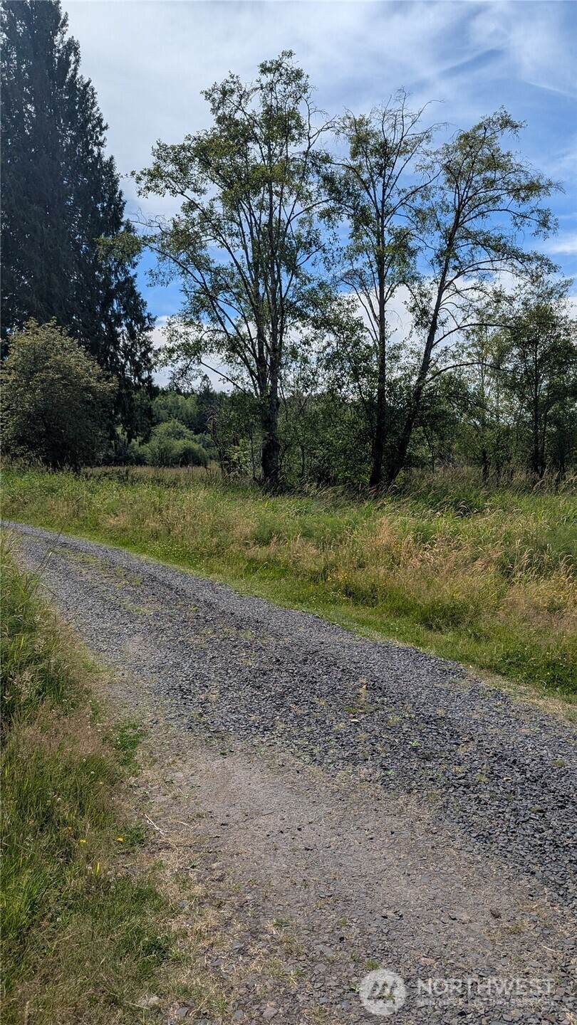 196 Jensen Road - Photo 1