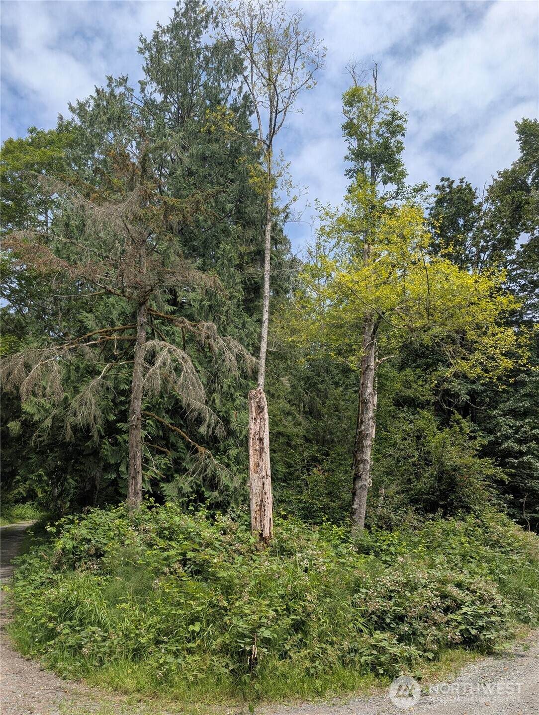 25314 Ebey Mountain Road - Photo 1