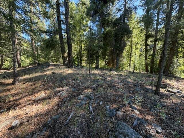 0 Buttermilk Creek Road - Photo 1