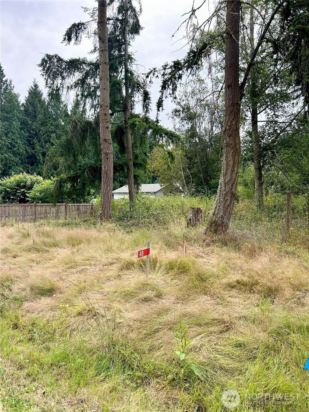 48 Lewis Avenue - Photo 1