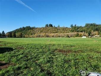 220 Mossyrock - Photo 1