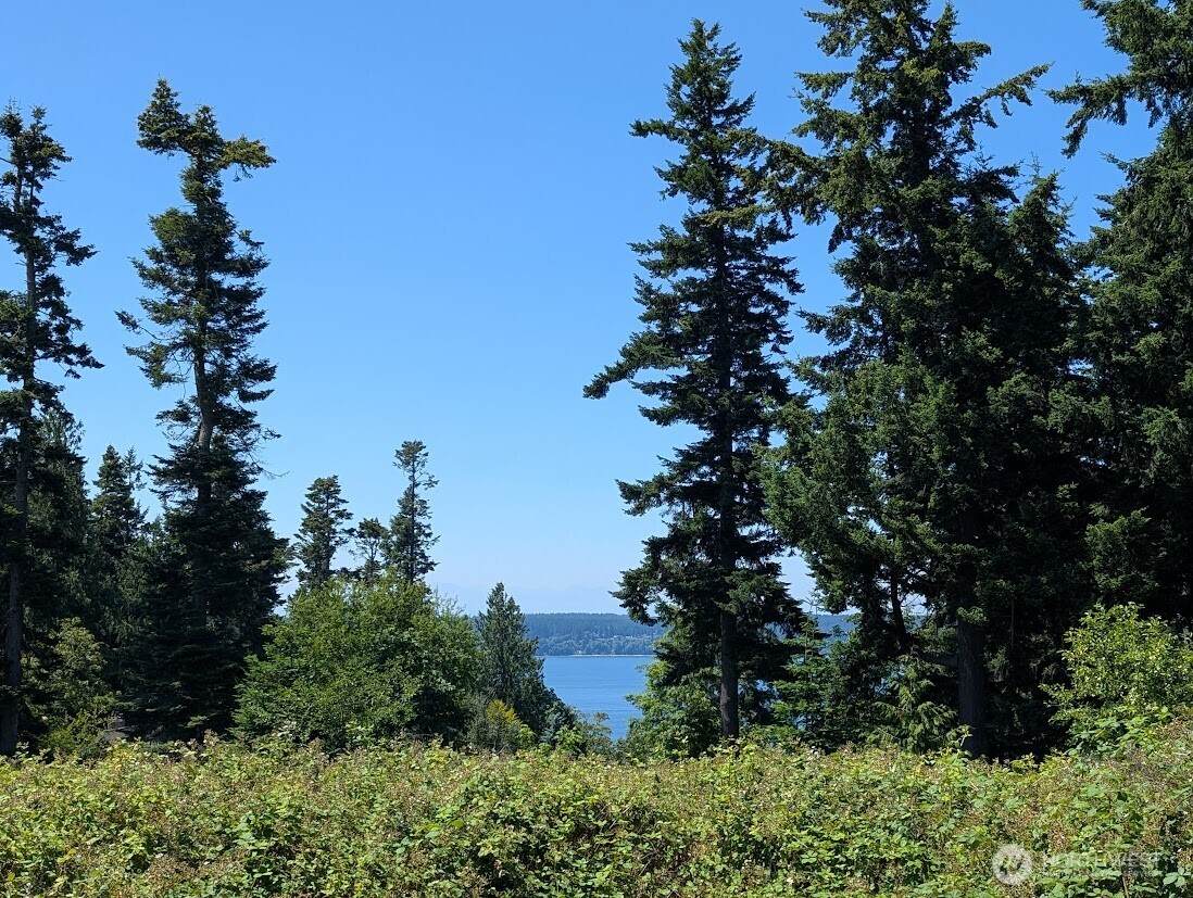 4343 (appx) Camano Drive - Photo 1