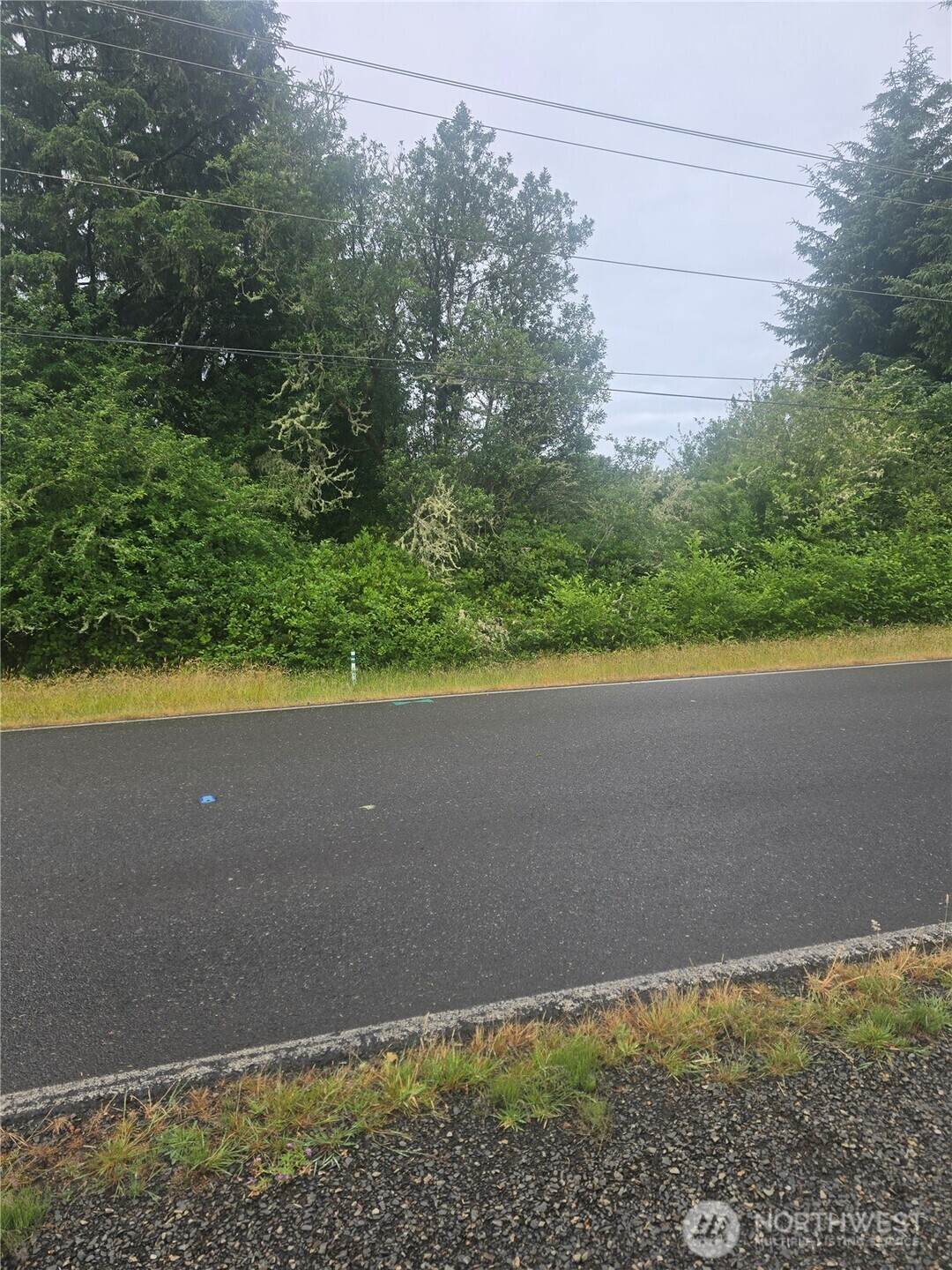 951 Mt Olympus Avenue - Photo 1