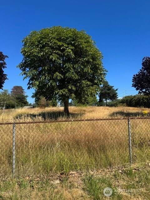 7011 Mckinley Avenue - Photo 1