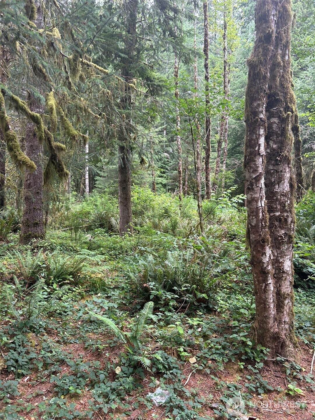 99 Highway 101 - Photo 1