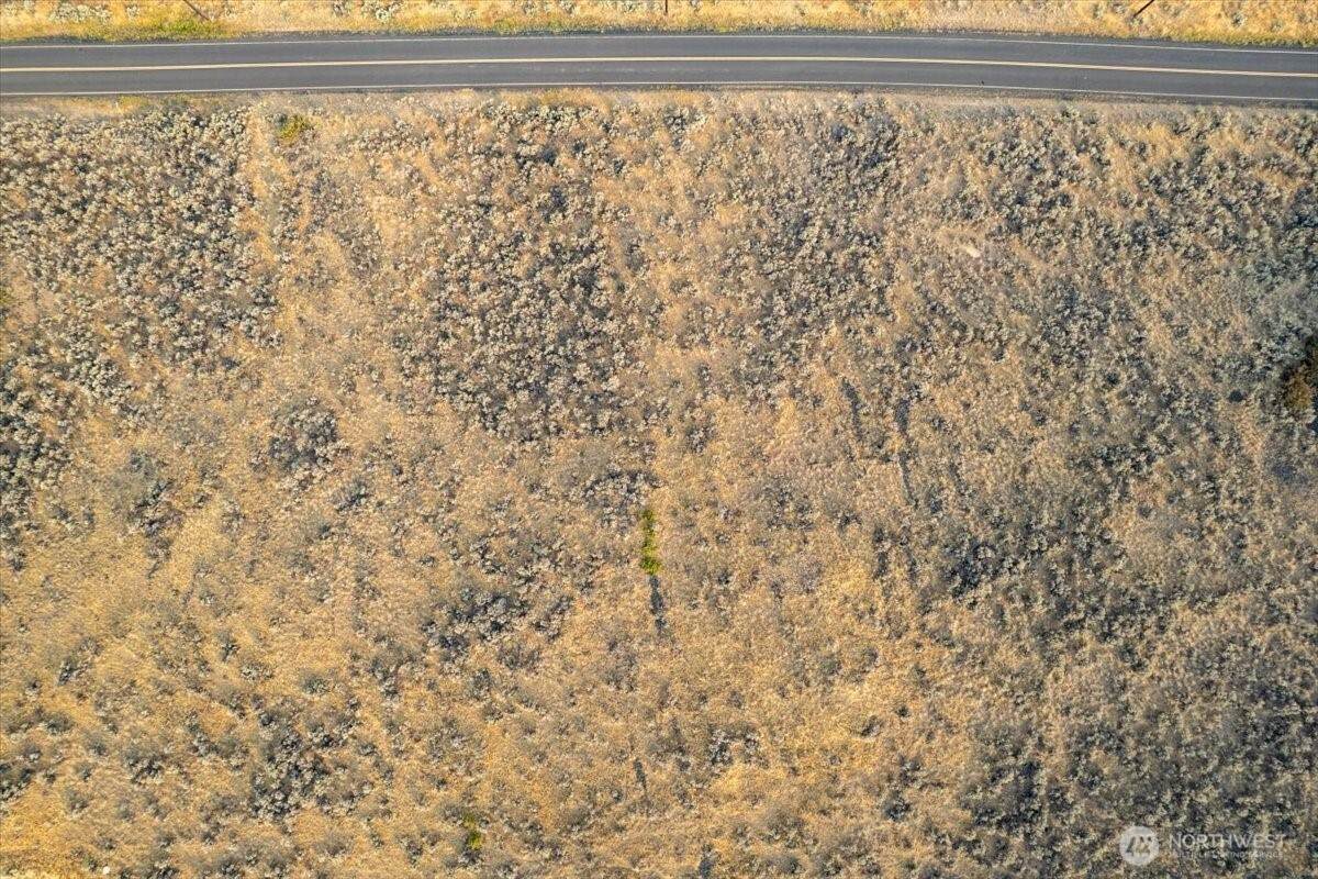 0 Spring Canyon Road - Photo 1