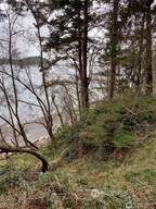 3 Lot Fauntleroy Point Dr - Photo 3