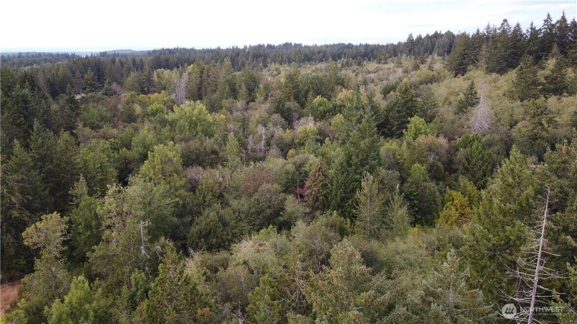 2616 Schirm Road - Photo 1