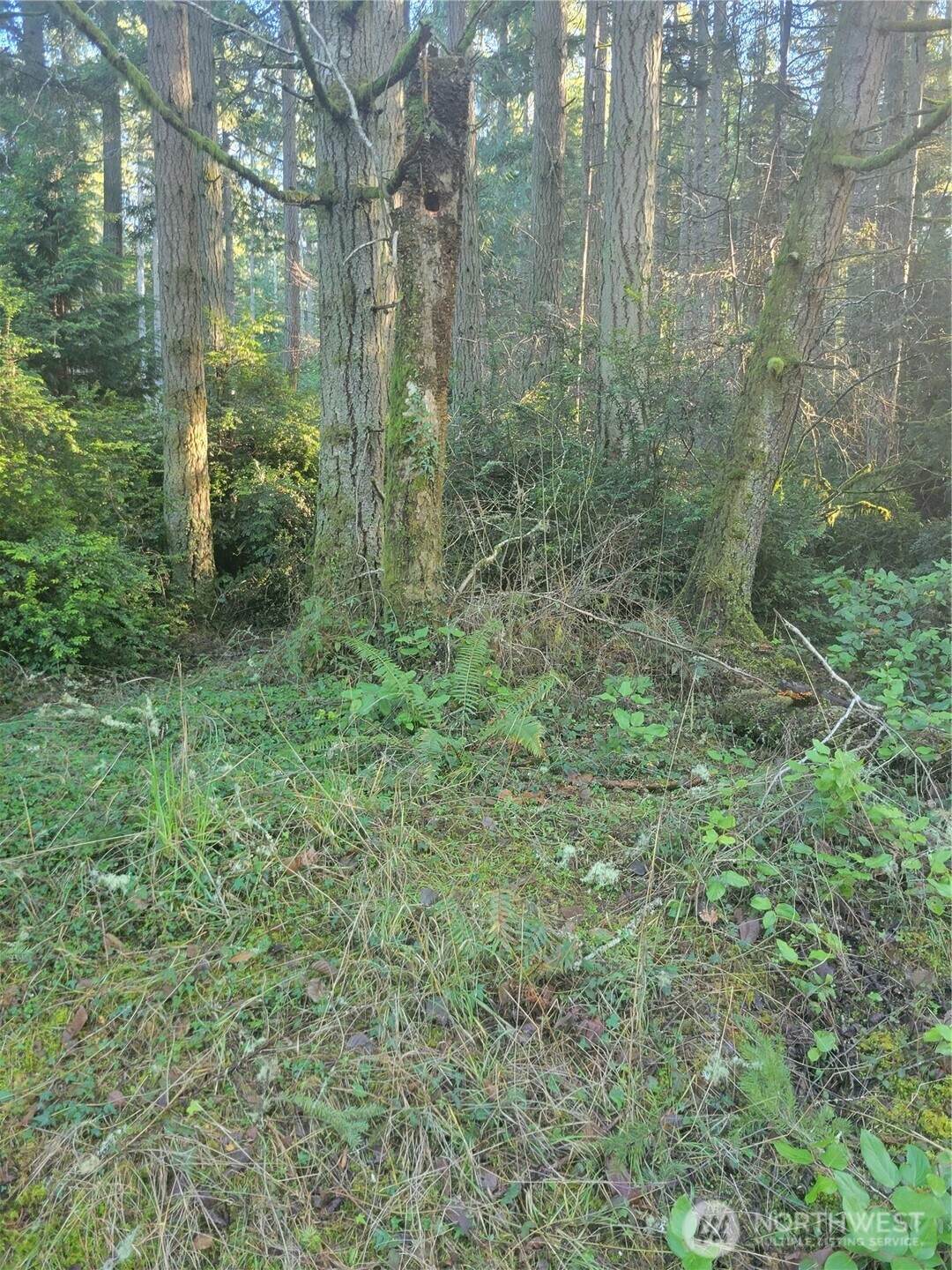 11920 Country Club Drive - Photo 1