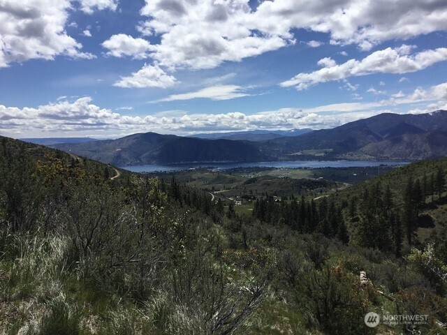 0 Ivan Morse Road - Photo 1