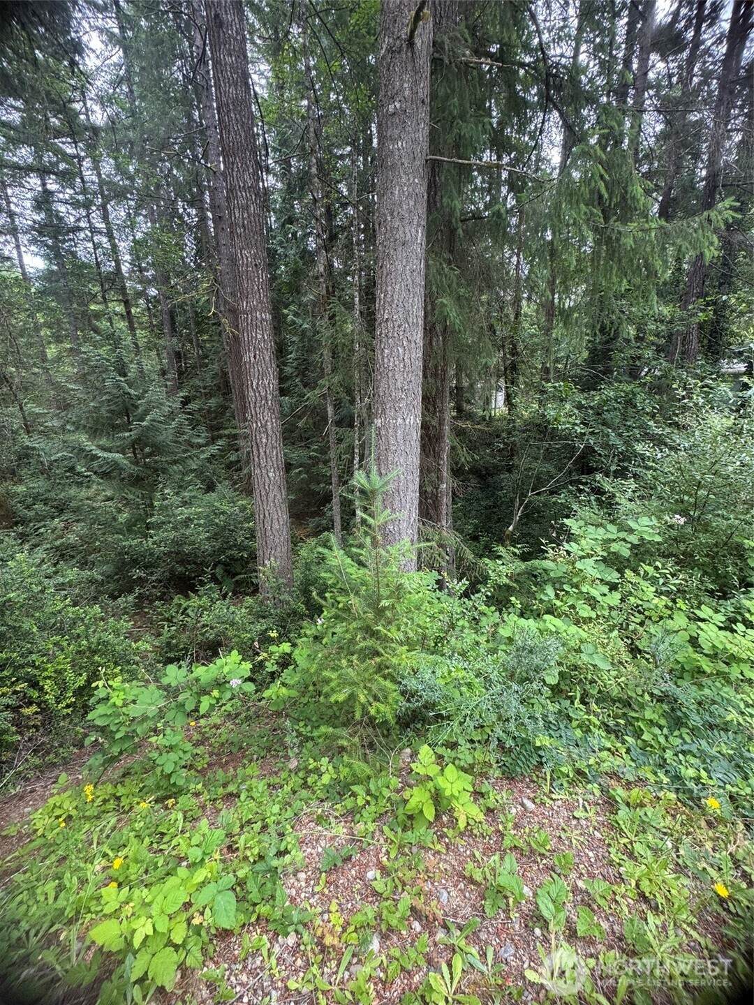 https://bt-photos.global.ssl.fastly.net/nwmls/orig_boomver_1_2568512-1.jpg