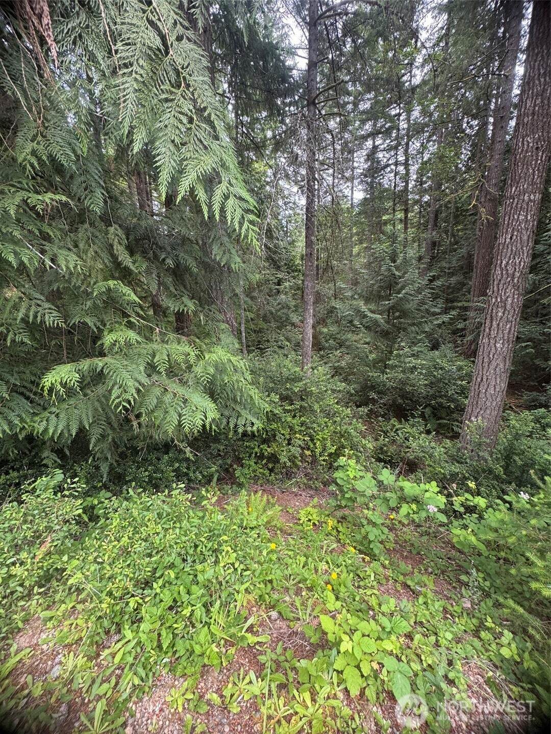 https://bt-photos.global.ssl.fastly.net/nwmls/orig_boomver_1_2568512-1.jpg