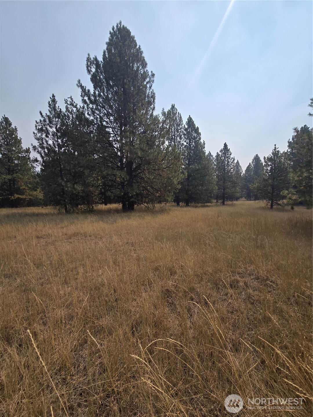 0 Tbd Turner Lake Road - Photo 1