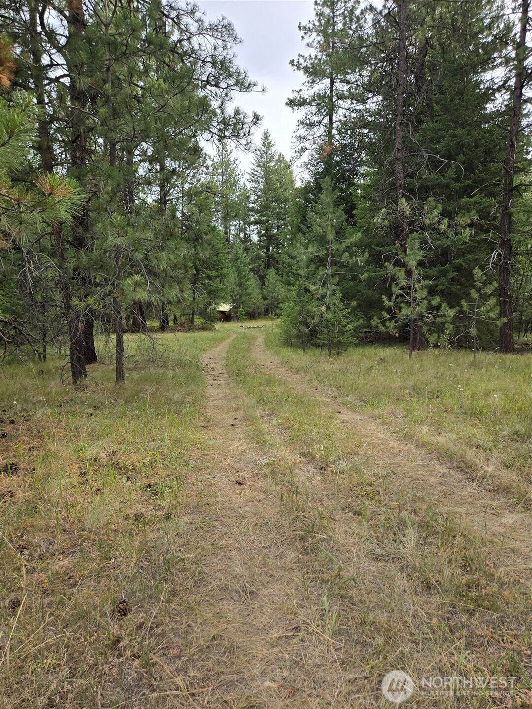 0 Tbd Turner Lake Road - Photo 1