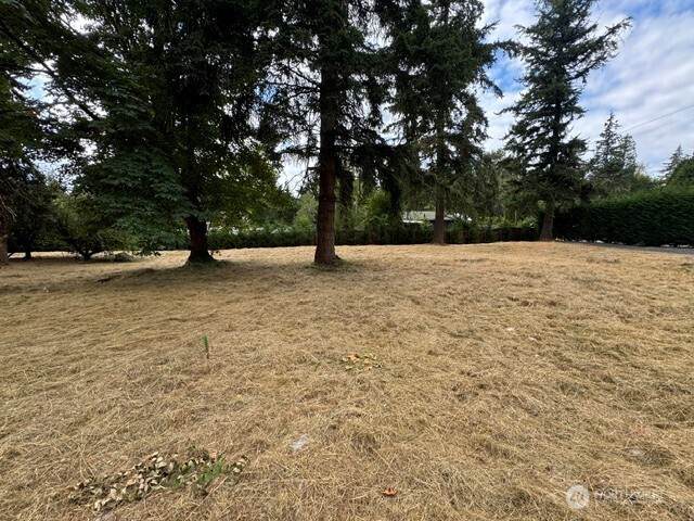 36815 52nd Avenue - Photo 1