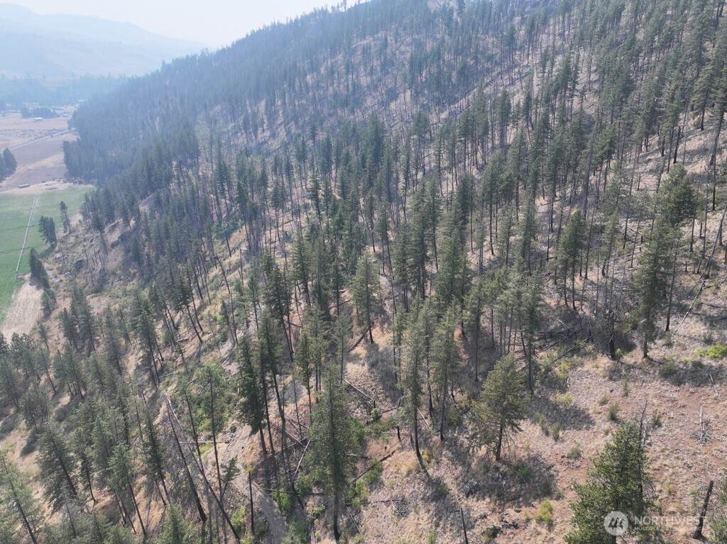 0 Gold Creek Loop Road - Photo 1