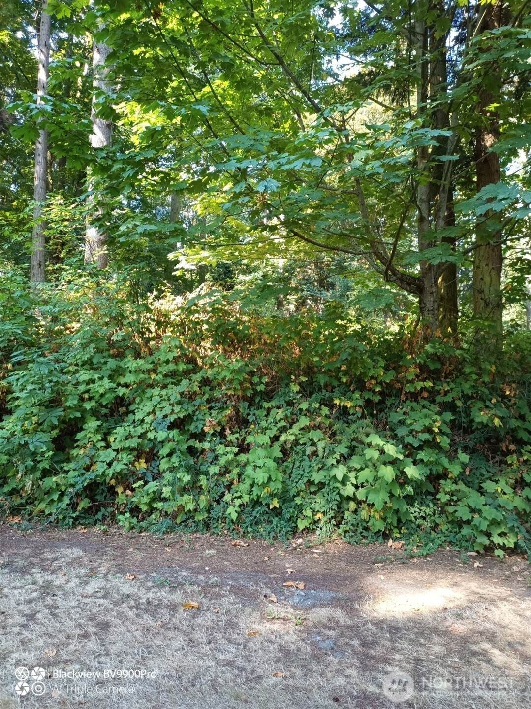86 G Hat Place - Photo 1