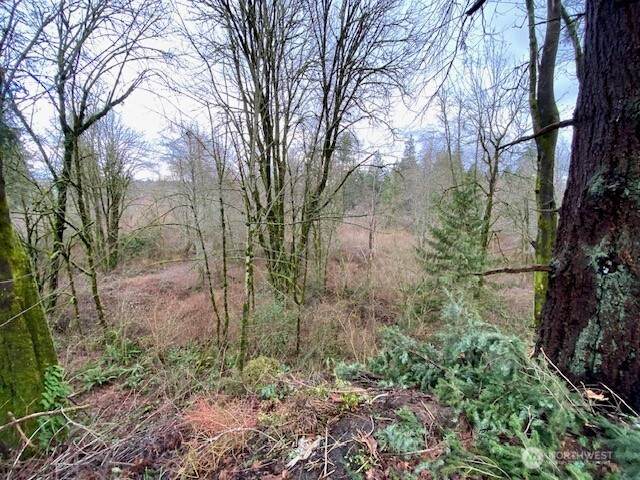 132 &129 Linda Street - Photo 1