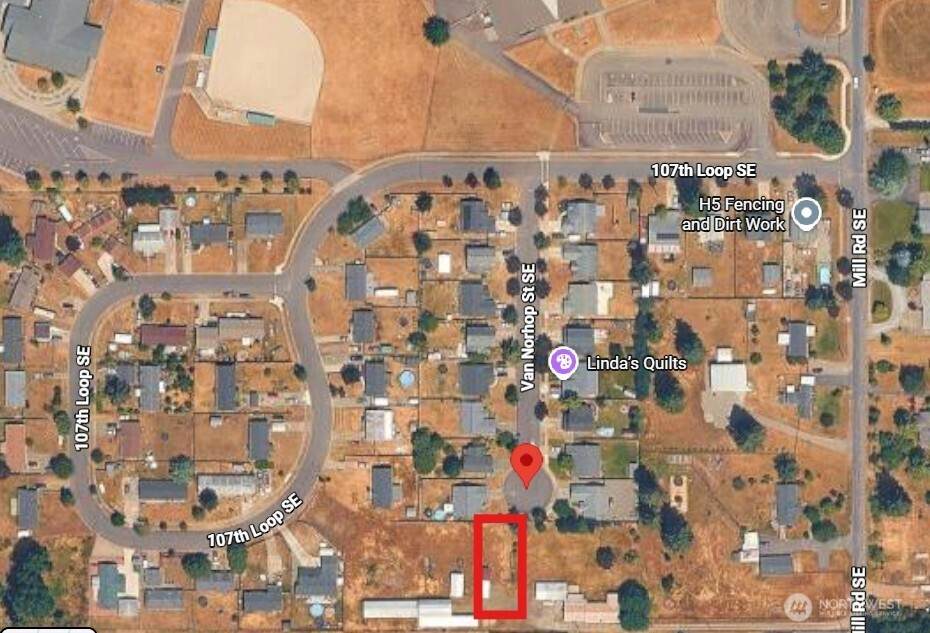 10725 Van Norhop Street - Photo 1