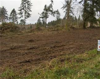 0-Lot No. Jacobson Rd. - Photo 1
