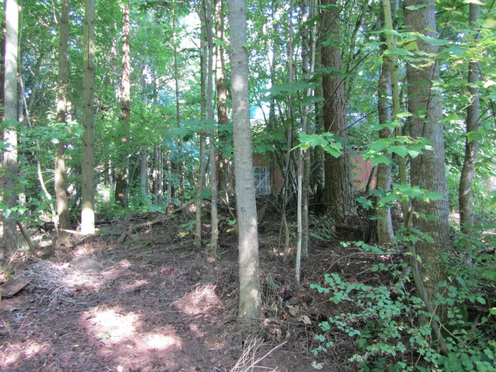 0 Lot 90 Eliza Island - Photo 1