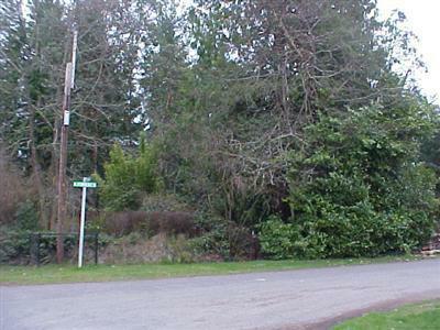 4290 Forest Dr - Photo 1